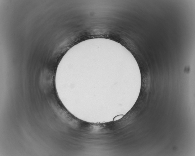 X0000112490662200909281134