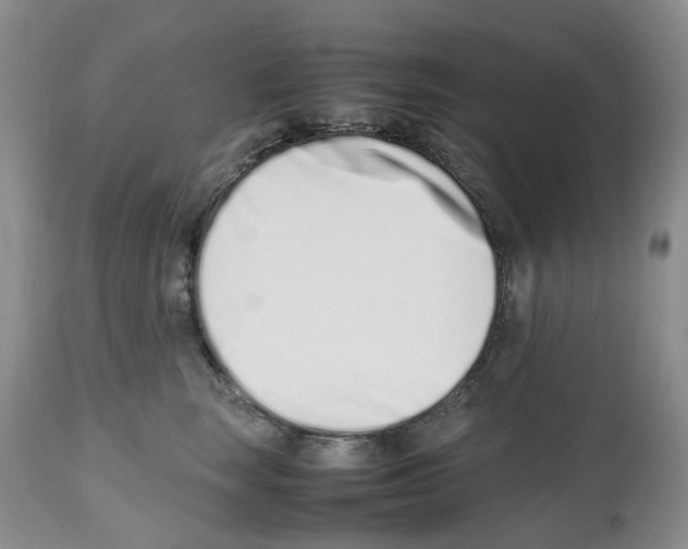 X0000112490663200909281134