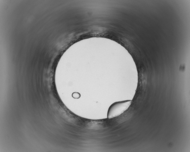 X0000112490664200909281134