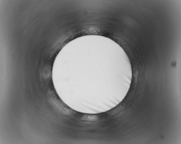 X0000112490665200909281134