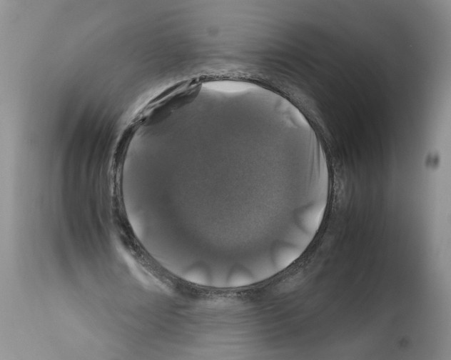 X0000112490674200909281133