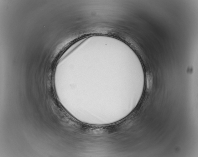 X0000112490675200909281133