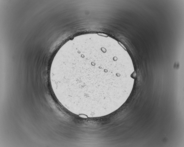 X0000112490677200909281133