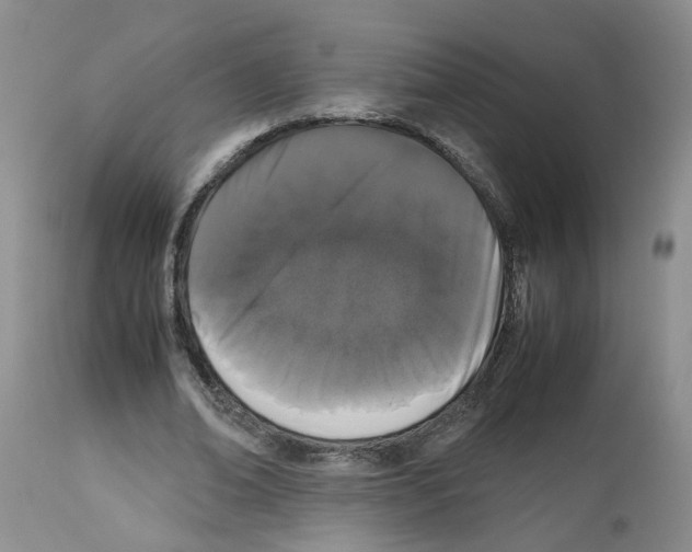 X0000112490678200909281133
