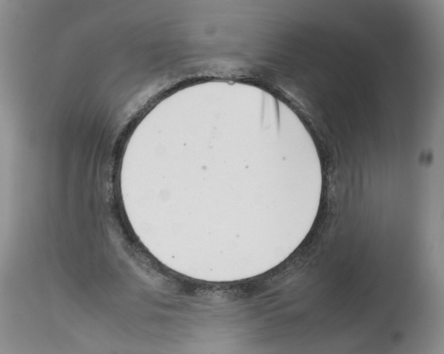 X0000112490679200909281133