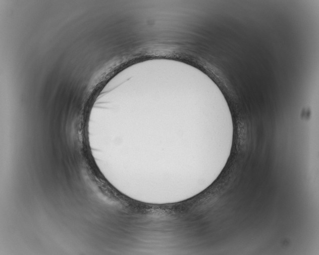 X0000112490682200909281133