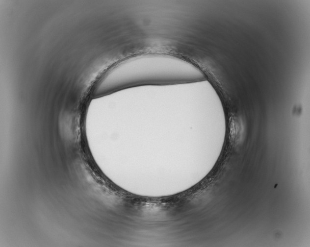 X0000112490684200909281133