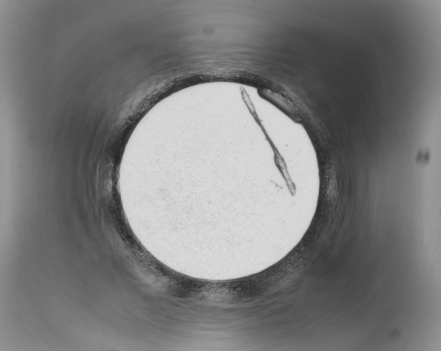 X0000112490685200909281133