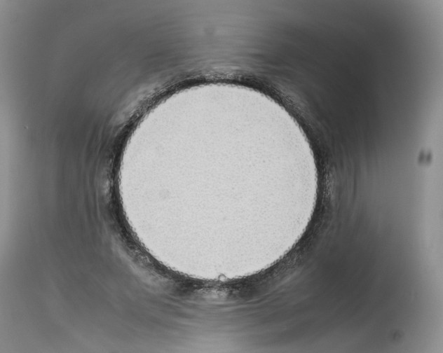 X0000112490687200909281133