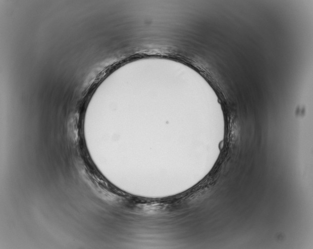X0000112490688200909281133