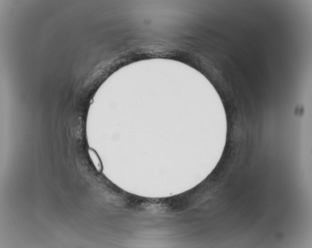 X0000112490689200909281133