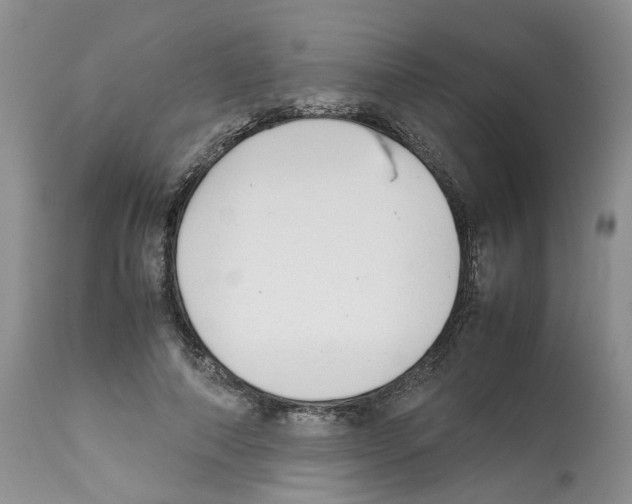 X0000112490690200909281133