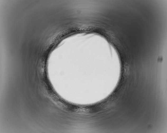 X0000112490691200909281133