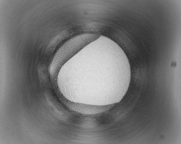 X0000112490692200909281133