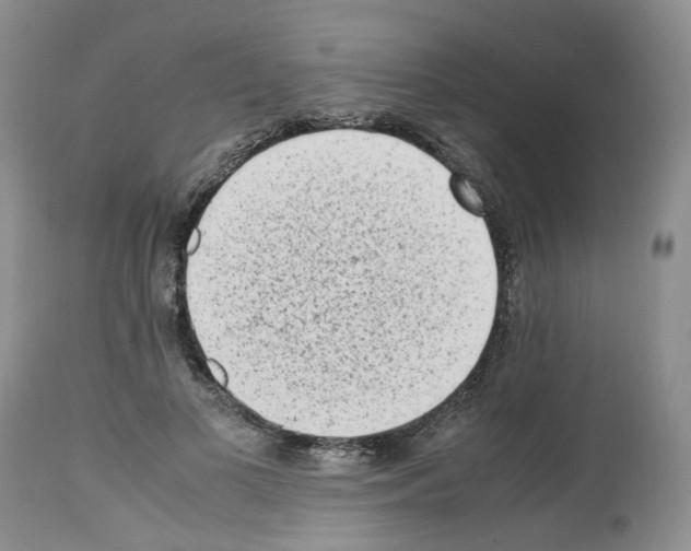 X0000112490693200909281133