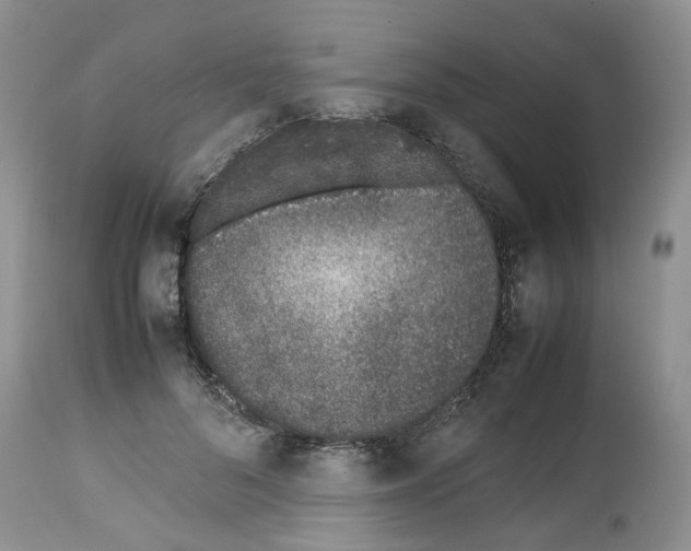 X0000112490696200909281133