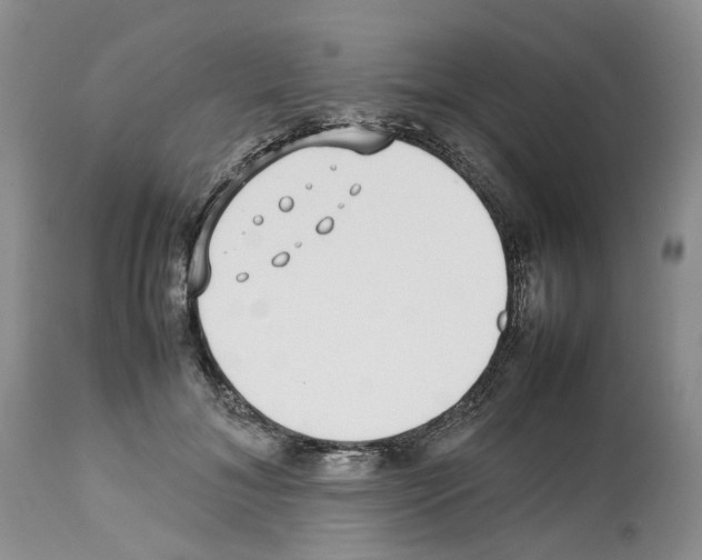 X0000112490700200909281133