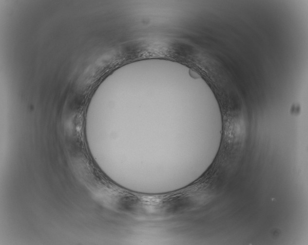 X0000112490701200909281133