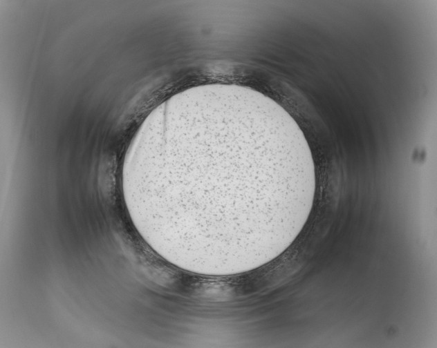 X0000112490702200909281133