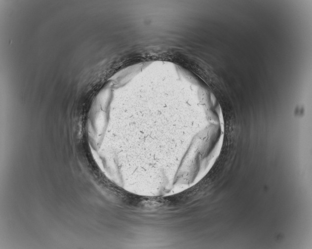 X0000112490703200909281133
