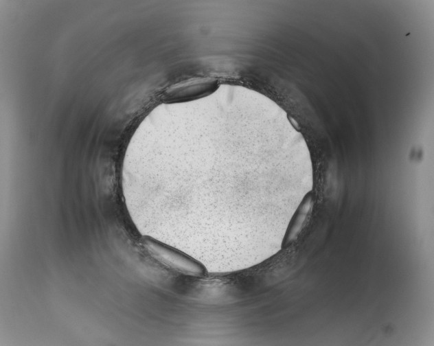 X0000112490704200909281133