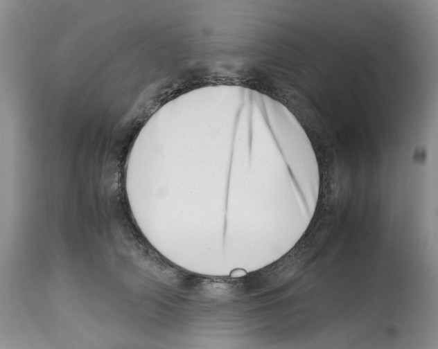 X0000112490706200909281133