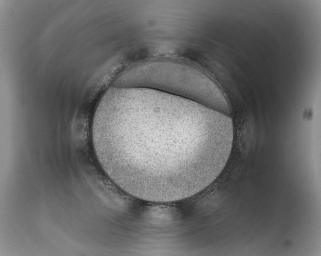 X0000112490708200909281133
