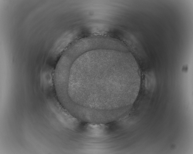 X0000112490712200909281133