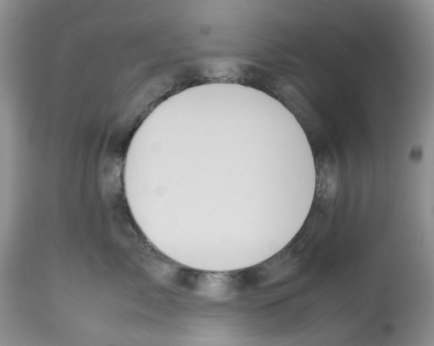 X0000112490717200909281133