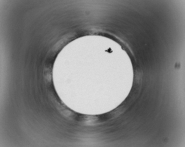 X0000112490719200909281133