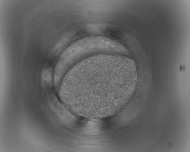 X0000112490720200909281133