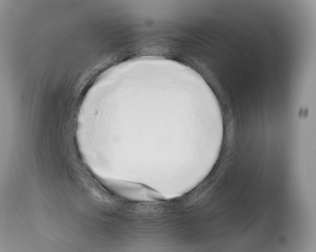 X0000112490721200909281132