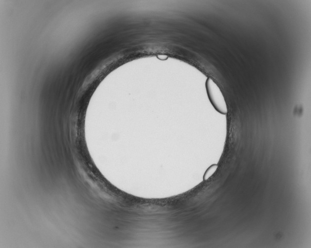 X0000112490722200909281132