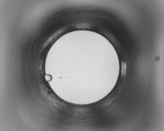 X0000112490723200909281132