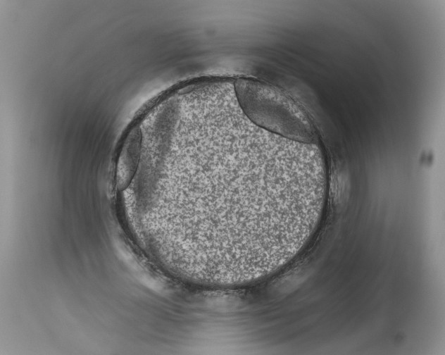 X0000112490724200909281132