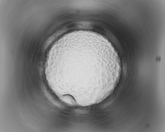 X0000112490725200909281132