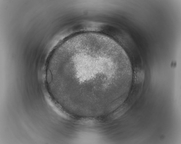 X0000112490726200909281132