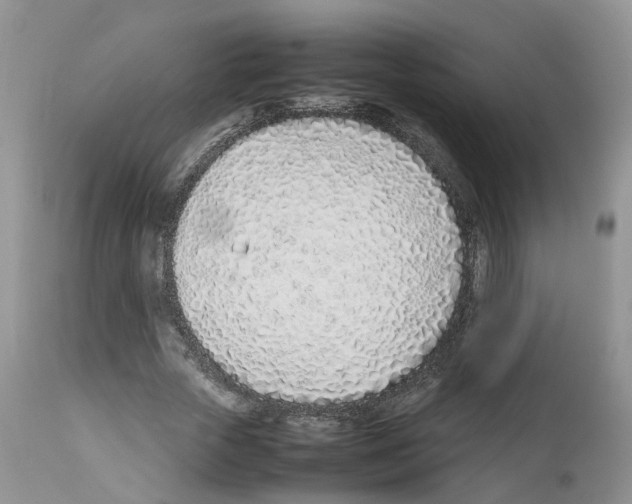 X0000112490729200909281132