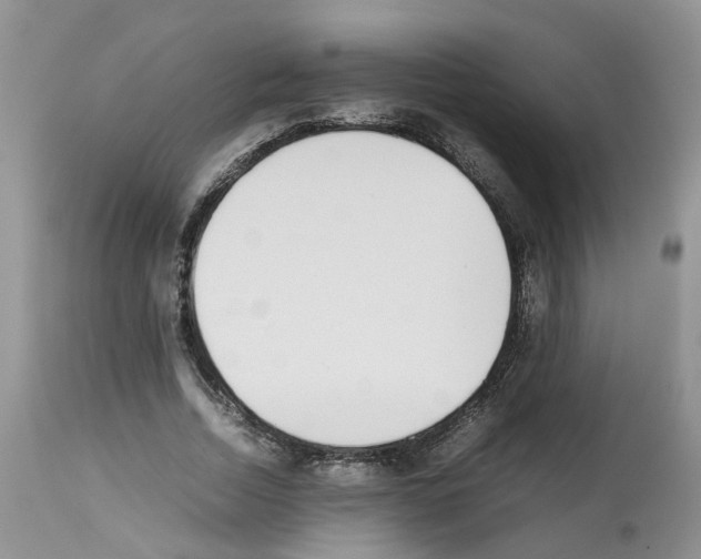 X0000112490730200909281132