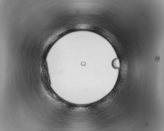 X0000112490734200909281132