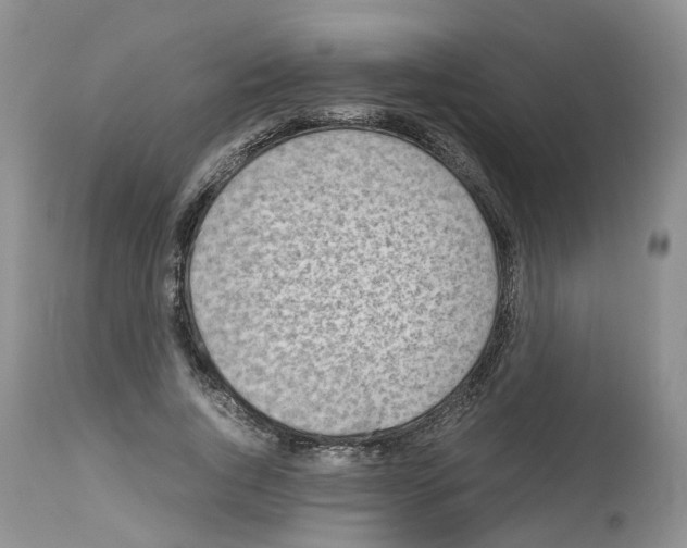X0000112490736200909281132
