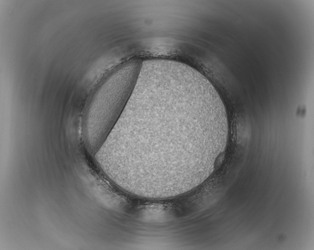 X0000112490740200909281132