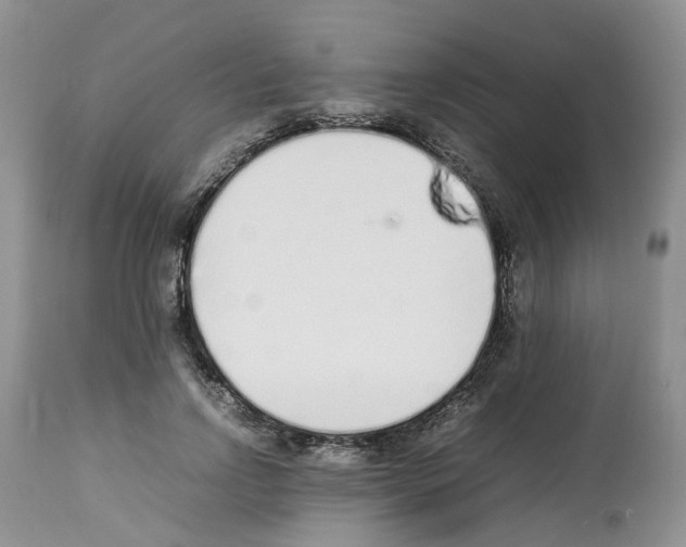 X0000112490742200909281132