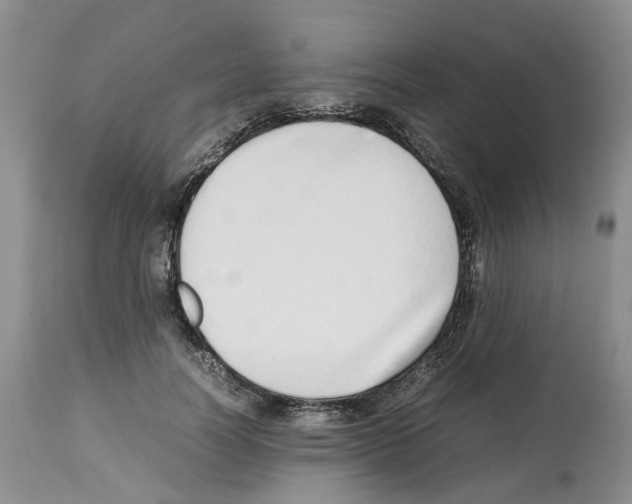 X0000112490746200909281132