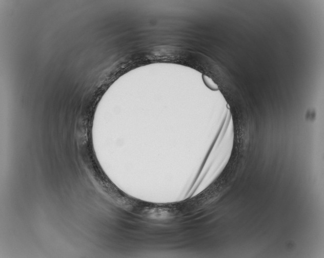 X0000112490751200909281132