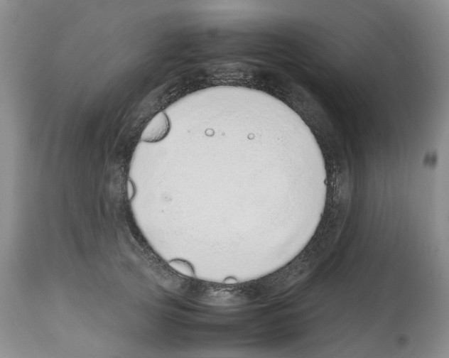 X0000112490753200909281133