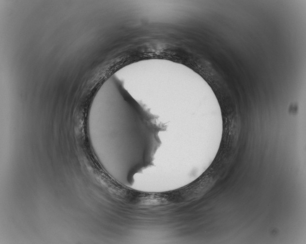 X0000112490754200909281133
