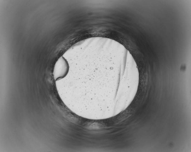 X0000112490755200909281133