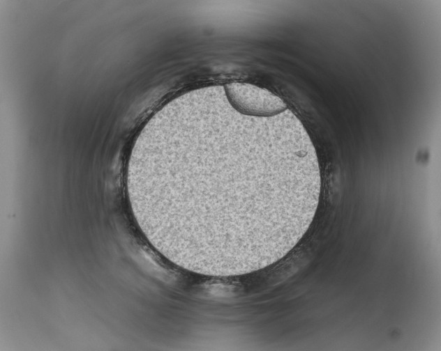 X0000112490756200909281133