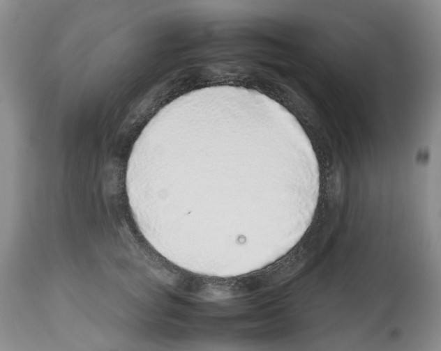 X0000112490757200909281133